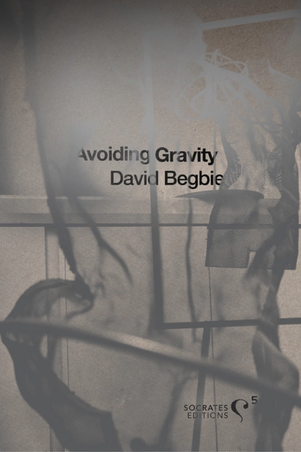 Front of the limited edition book "Avoiding Gravity - David Begbie" published 2024 by Socrates Editions, depicting wire sculpture details of masculine and feminine forms
