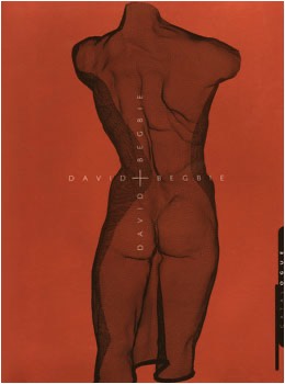 David Begbie 1987-1992 The Phyllis Rapp Mesh Art Collection