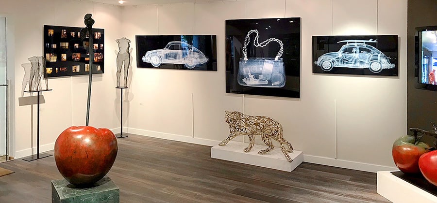Art exhibition presenting wire-mesh sculpture and x-ray photograpy