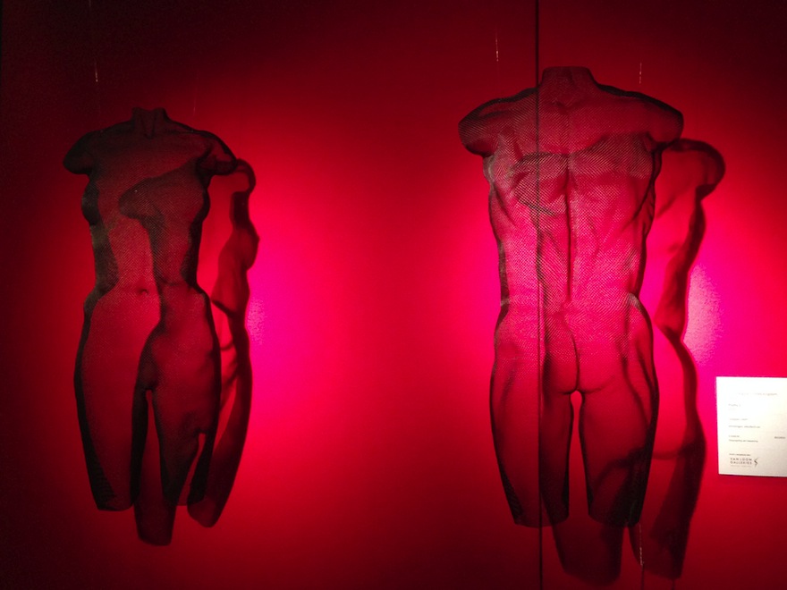 girl and boy torso semi-transparent wire-mesh