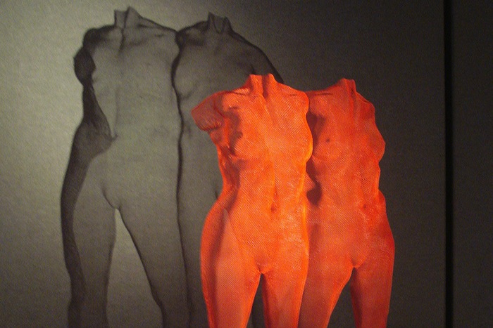 female torso in wiremesh