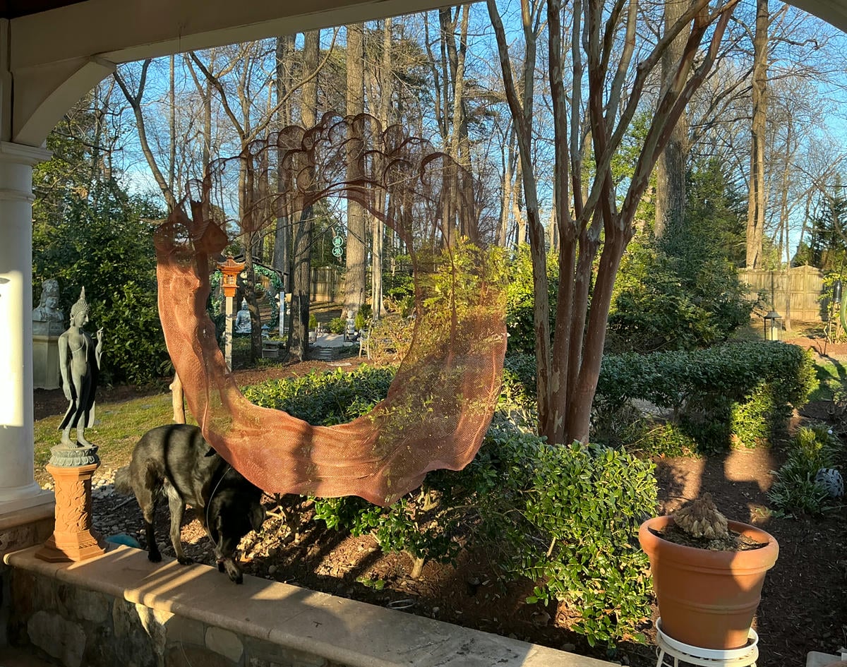 Look from a pavillion into a sculpture collection garden through a centered transparent wire-mesh sculpture with abstract and figurative elements.