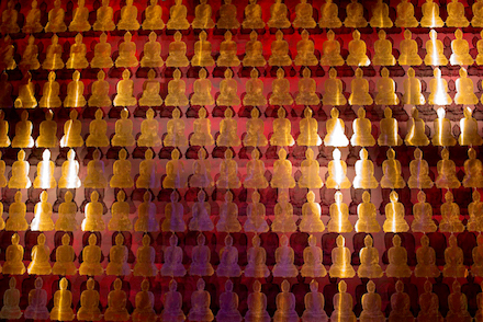 Buddha wall carpet by david begbie