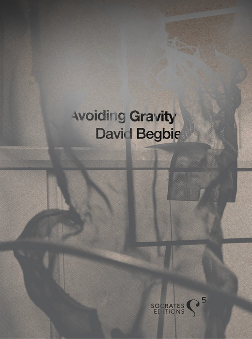 Front of the limited edition book "Avoiding Gravity - David Begbie" published 2024 by Socrates Editions, depicting wire sculpture details of masculine and feminine forms
